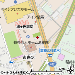 埼玉県日高市森戸新田100-4周辺の地図