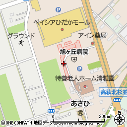 埼玉県日高市森戸新田99-1周辺の地図