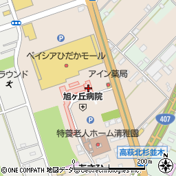 埼玉県日高市森戸新田99-3周辺の地図