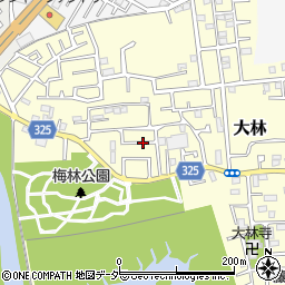 埼玉県越谷市大林周辺の地図