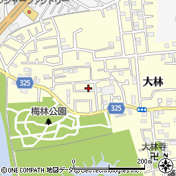 埼玉県越谷市大林272-19周辺の地図