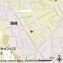 埼玉県さいたま市見沼区南中野907-6周辺の地図