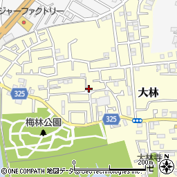 埼玉県越谷市大林272-33周辺の地図