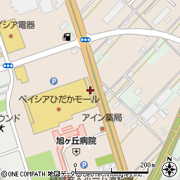 埼玉県日高市森戸新田102-3周辺の地図