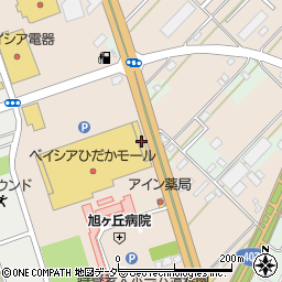 埼玉県日高市森戸新田102周辺の地図