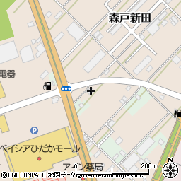 埼玉県日高市森戸新田74周辺の地図