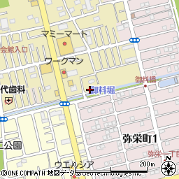 埼玉県越谷市弥十郎619-3周辺の地図