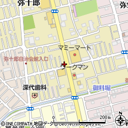 埼玉県越谷市弥十郎557周辺の地図