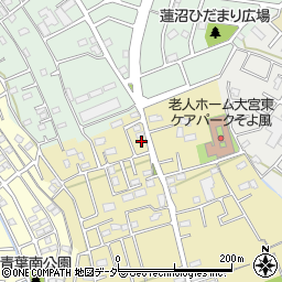 埼玉県さいたま市見沼区南中野1194周辺の地図