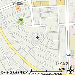埼玉県越谷市大道248周辺の地図