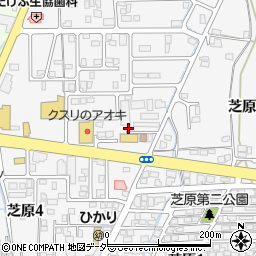 福井県越前市芝原周辺の地図