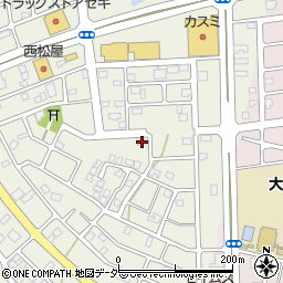 埼玉県越谷市大道224周辺の地図