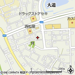 埼玉県越谷市大道177周辺の地図
