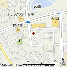 埼玉県越谷市大道184周辺の地図