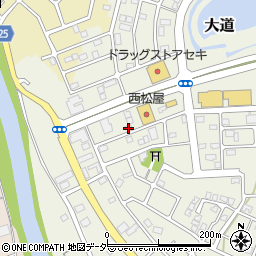 埼玉県越谷市大道156周辺の地図