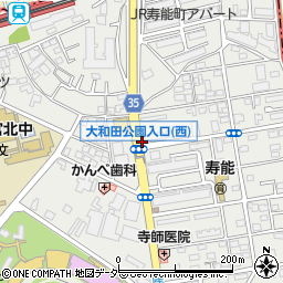 大和田公園入口周辺の地図