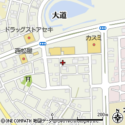 埼玉県越谷市大道195周辺の地図