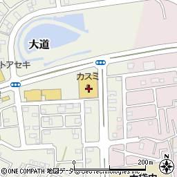 埼玉県越谷市大道564周辺の地図