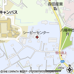 埼玉県さいたま市岩槻区笹久保2039周辺の地図