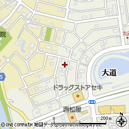 埼玉県越谷市大道676周辺の地図