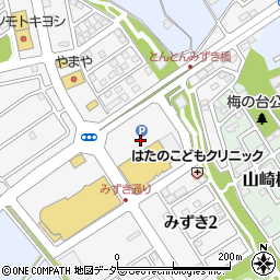 パシオス野田店周辺の地図