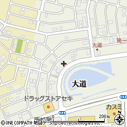 埼玉県越谷市大道689周辺の地図