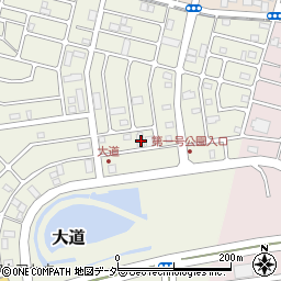 埼玉県越谷市大道795周辺の地図