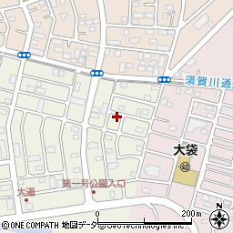 埼玉県越谷市大道852周辺の地図