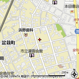埼玉県さいたま市北区盆栽町256周辺の地図