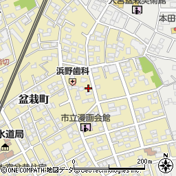 埼玉県さいたま市北区盆栽町248周辺の地図