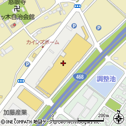 カインズ鶴ヶ島店周辺の地図