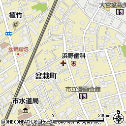 埼玉県さいたま市北区盆栽町周辺の地図