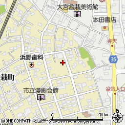 埼玉県さいたま市北区盆栽町262-1周辺の地図