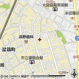 埼玉県さいたま市北区盆栽町258周辺の地図