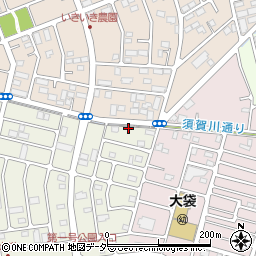 埼玉県越谷市大道1108周辺の地図