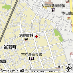 埼玉県さいたま市北区盆栽町257-8周辺の地図