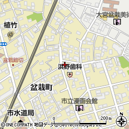 埼玉県さいたま市北区盆栽町238-1周辺の地図