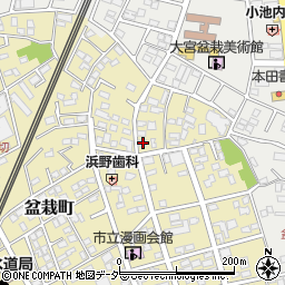 埼玉県さいたま市北区盆栽町304周辺の地図