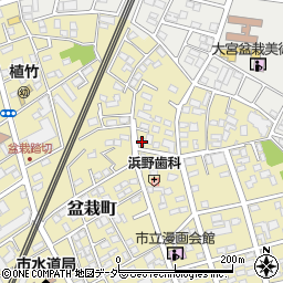 埼玉県さいたま市北区盆栽町305周辺の地図