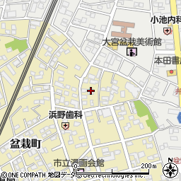 埼玉県さいたま市北区盆栽町302周辺の地図