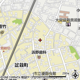 埼玉県さいたま市北区盆栽町310周辺の地図