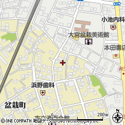 埼玉県さいたま市北区盆栽町294周辺の地図