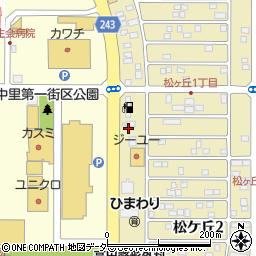 Pizzeria Tatsunoko周辺の地図