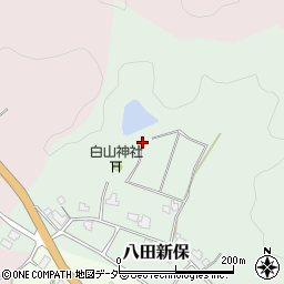 福井県丹生郡越前町八田新保周辺の地図
