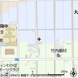 埼玉県越谷市大松389周辺の地図