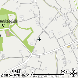 埼玉県さいたま市西区中釘周辺の地図