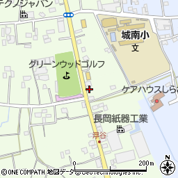 埼玉県さいたま市岩槻区真福寺1495周辺の地図
