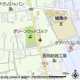 埼玉県さいたま市岩槻区真福寺1494周辺の地図