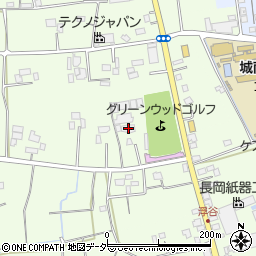 埼玉県さいたま市岩槻区真福寺30周辺の地図