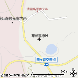 清里高原ホテル周辺の地図